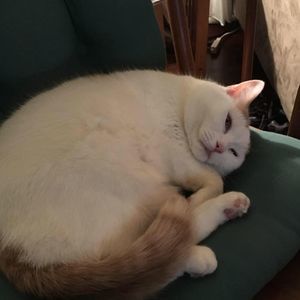 Meet your Posher, Mckayla